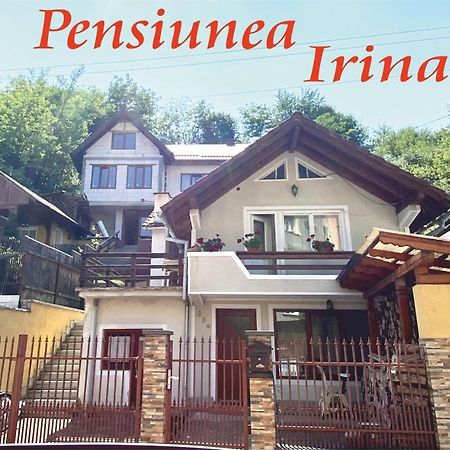 Pensiunea Irina ซินจอร์ซ-เบย ภายนอก รูปภาพ