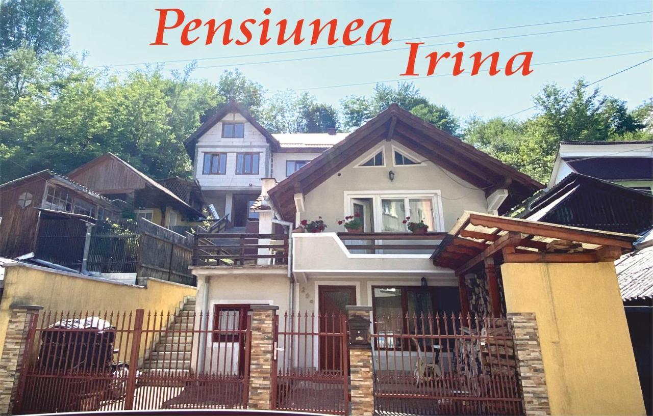 Pensiunea Irina ซินจอร์ซ-เบย ภายนอก รูปภาพ